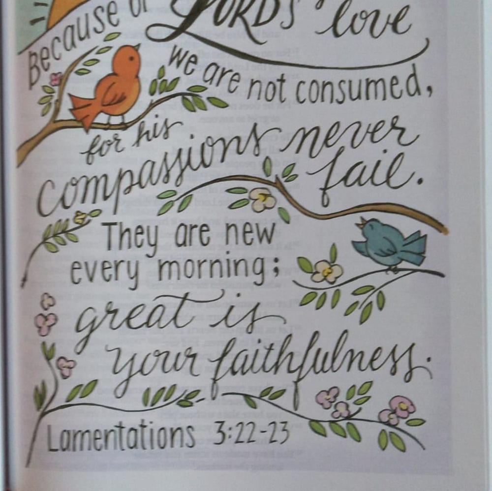 Meet your Posher, Dottie